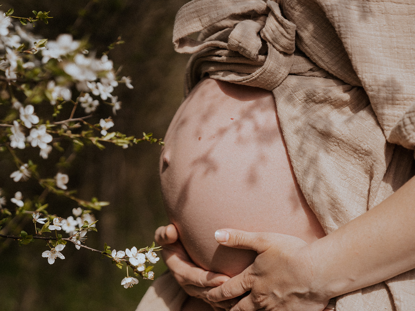 Babybauch im Freien zwischen blühenden Zweigen